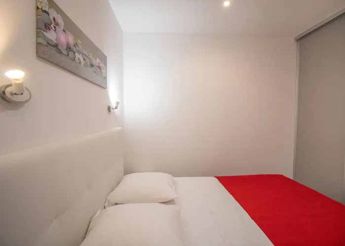 Splendide Grand Neuf *