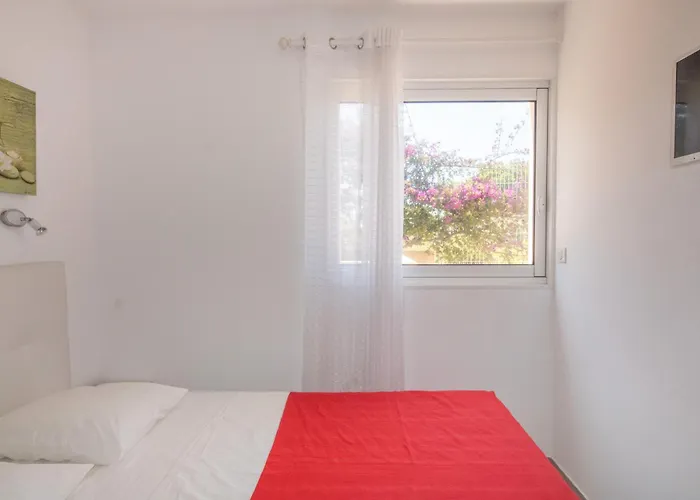 公寓 Splendide Grand Neuf Albitreccia